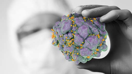 Immuno- Oncology Solutions Brochure